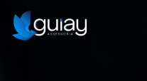 GUIAY Assessoria